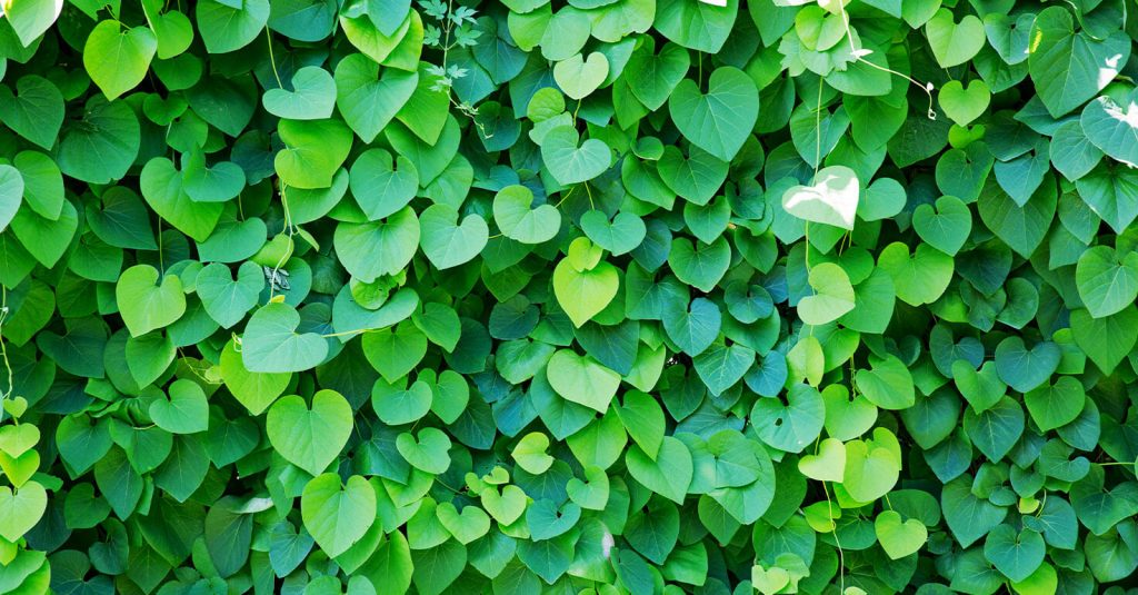 jardín vertical artificial