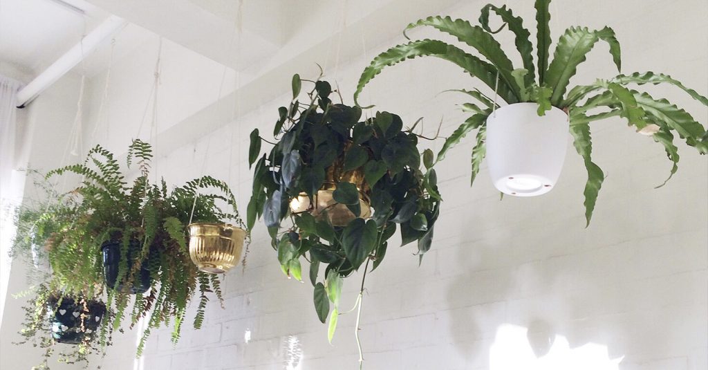 plantas artificiales colgantes