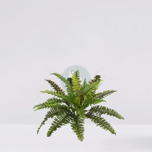 Helecho Con Brotes Artificial 58Cm