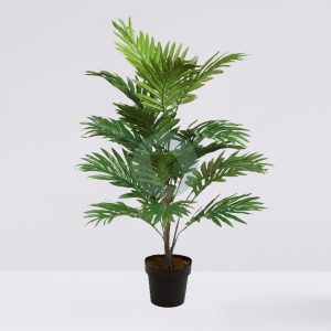 Palmera Areca En Maceta  92Cm