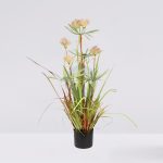 Planta Papiro Dandelion 95Cm