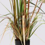 Planta Papiro Dandelion 95Cm - Imagen 2