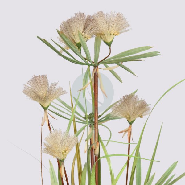 71380_3.jpg Planta Papiro Dandelion 95Cm - Imagen 3