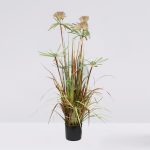 Planta Papiro Dandelion 130Cm