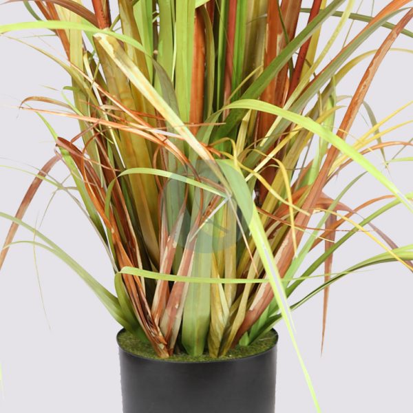 Planta Papiro Dandelion 130Cm - Imagen 2