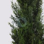 SETO TUYA ARTIFICIAL 120CM - Imagen 2