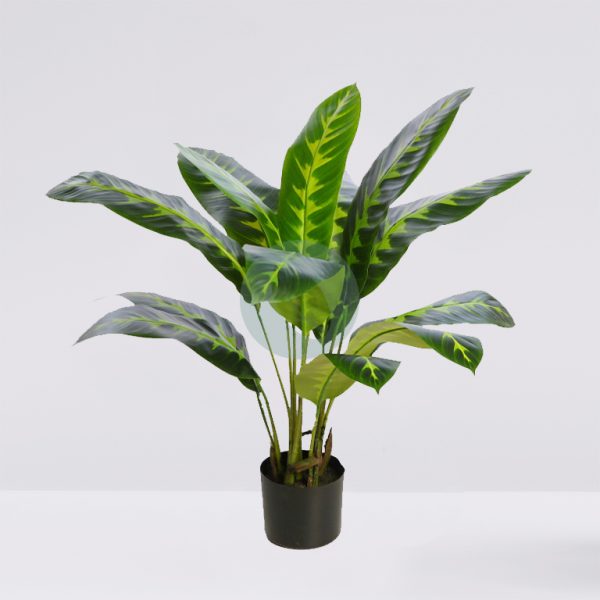 PLANTA DIFEMBACHIA ARTIFICIAL 70CM - Imagen 1