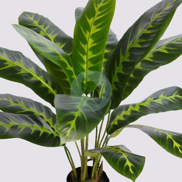 PLANTA DIFEMBACHIA ARTIFICIAL 70CM - Imagen 3