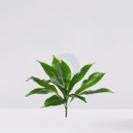 Diffembachia Verde Artificial 48Cm