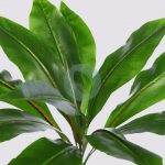 Diffembachia Verde Artificial 48Cm - Imagen 2