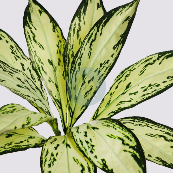 PLANTA DIFFEMBACHIA CAMILA ARTIFICIAL 45CM - Imagen 2