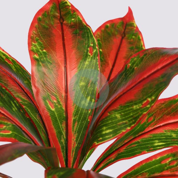 Planta Cordyline Artificial 40Cm - Imagen 2