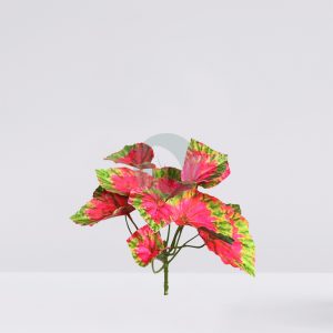 Coleo Artificial 25Cm