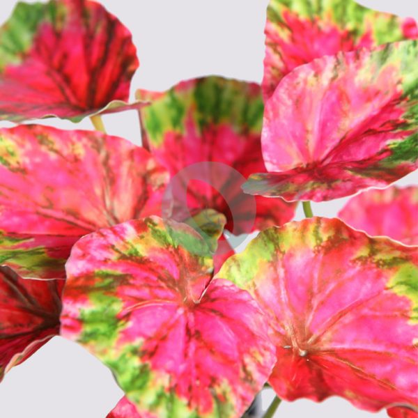 Coleo Artificial 25Cm - Imagen 2