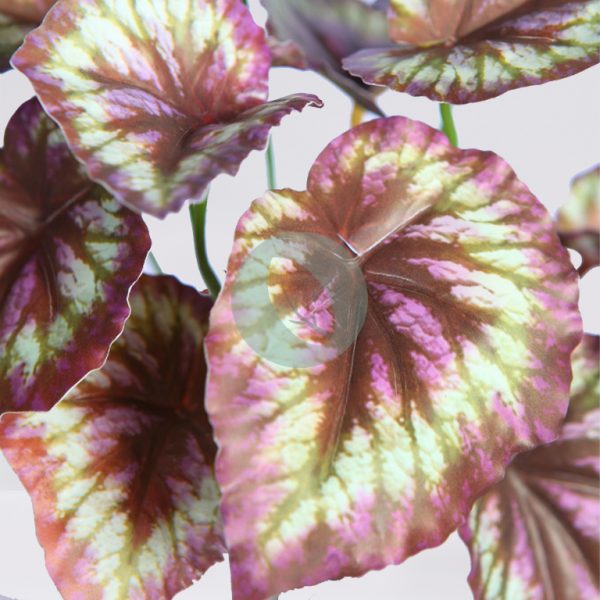 PLANTA COLEO ARTIFICIAL 25CM - Imagen 2