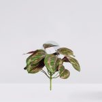 Planta Amaranta Artificial 25Cm