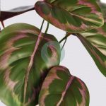 Planta Amaranta Artificial 25Cm - Imagen 2