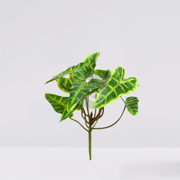 PLANTA SINGONIO FLECHA 25CM - Imagen 1