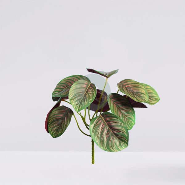 Planta Calatea Artificial 25Cm - Imagen 1