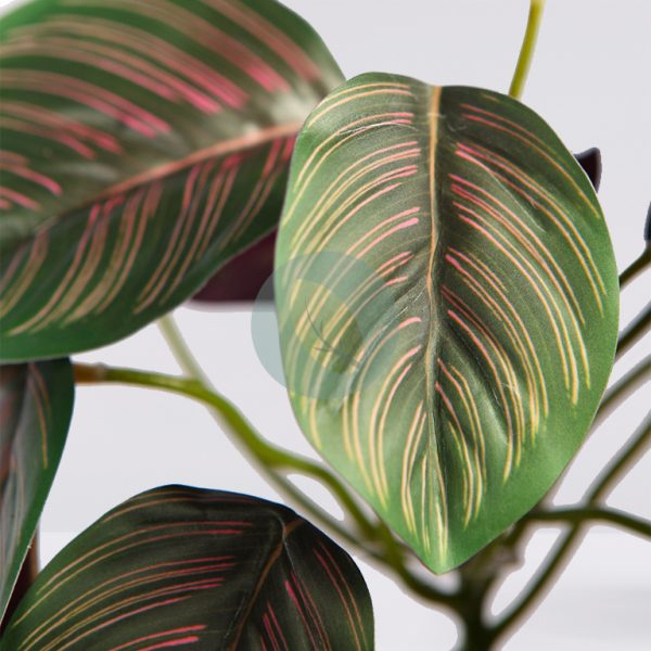 Planta Calatea Artificial 25Cm - Imagen 2