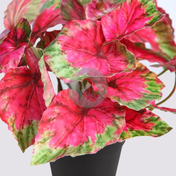 Maceta Coleo Artificial 25Cm - Imagen 2