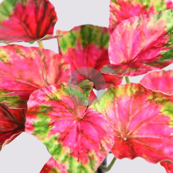 Maceta Coleo Artificial 25Cm - Imagen 3