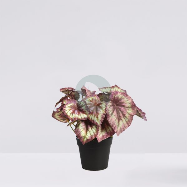 AD0776M.BX2_.jpg MACETA COLEO ARTIFCIAL 25CM - Imagen 1