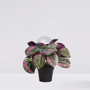 Amaranta artificial en maceta