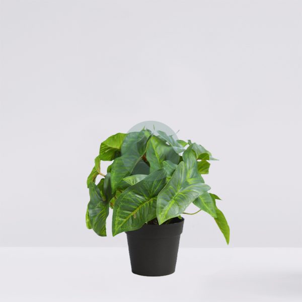 AD0776M.EX2.jpg MACETA SINGONIO ARTIFICIAL 25CM