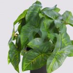 MACETA SINGONIO ARTIFICIAL 25CM