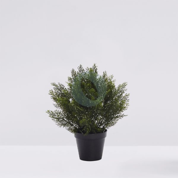 AU0003.jpg SETO TUYA ARTIFICIAL 50CM - Imagen 1