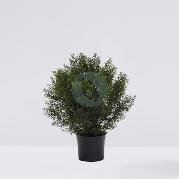 AU0004.jpg SETO TUYA ARTIFICIAL 60CM - Imagen 1