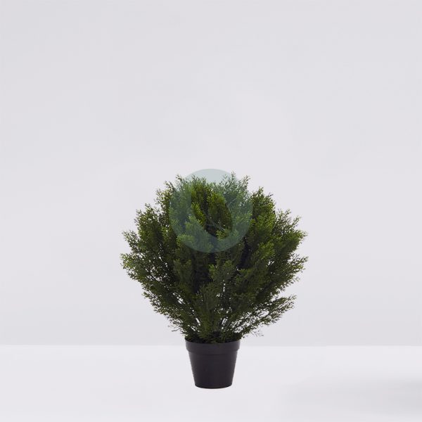 AU0005.jpg SETO TUYA ARTIFICIAL 75CM - Imagen 1