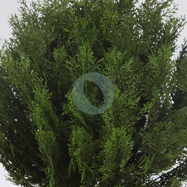 SETO TUYA ARTIFICIAL 90CM - Imagen 2