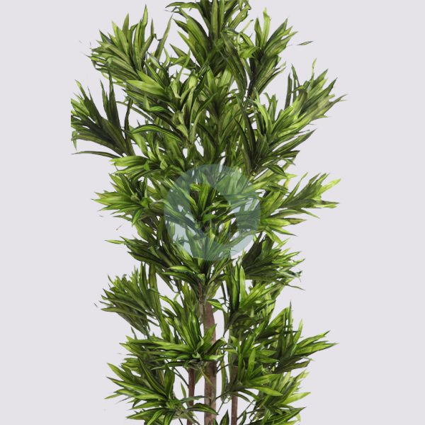 B093TA_2.jpg DRACENA ARTIFICIAL 150CM - Imagen 2