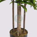 DRACENA ARTIFICIAL 150CM - Imagen 4