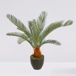 CYCAS CON MACETA 60CM