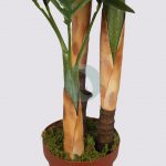 PALMERA ARTIFICIAL 120 CM - Imagen 3