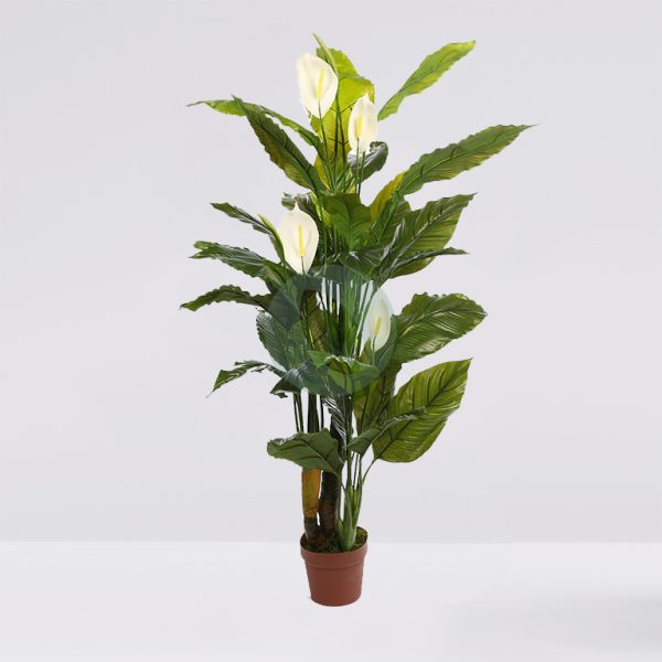 KD9005.jpg SPATIFILIUM ARTIFICIAL EN MACETA 133CM - Imagen 1