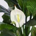 SPATIFILIUM ARTIFICIAL EN MACETA 133CM - Imagen 2