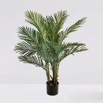 Palmera Areca 95Cm