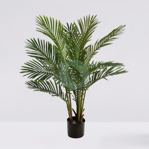 Palmera Areca 95Cm
