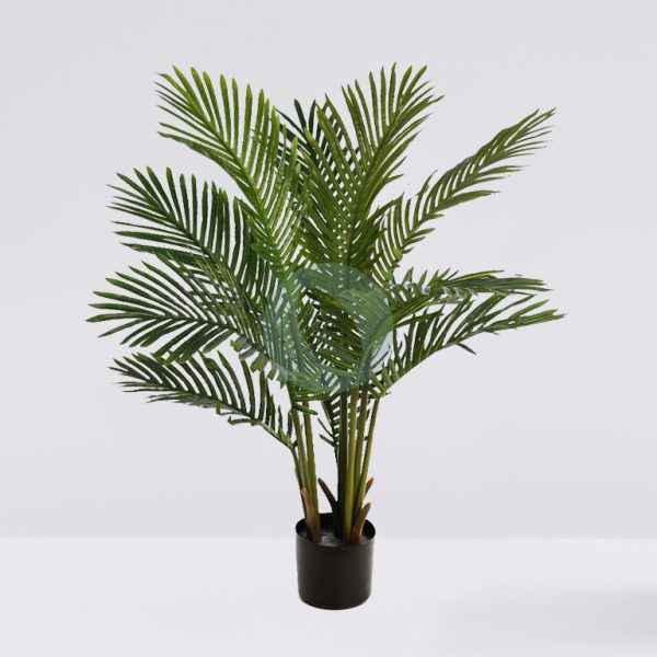 KD9292.jpg Palmera Areca 95Cm - Imagen 1
