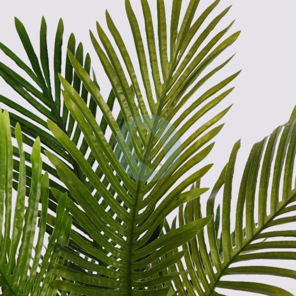 Palmera Areca 95Cm - Imagen 2