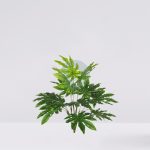 PLANTA ARALIA ARTIFICIAL