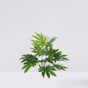 PLANTA ARALIA ARTIFICIAL