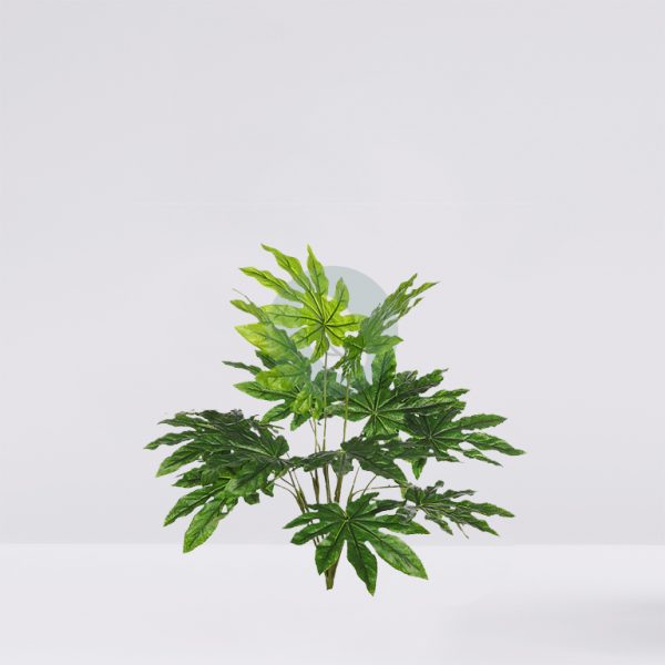 KOM3001.jpg PLANTA ARALIA ARTIFICIAL - Imagen 1
