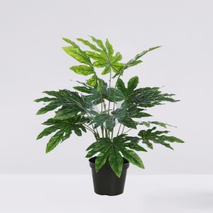 PLANTA ARALIA ARTIFICIAL CON MACETA