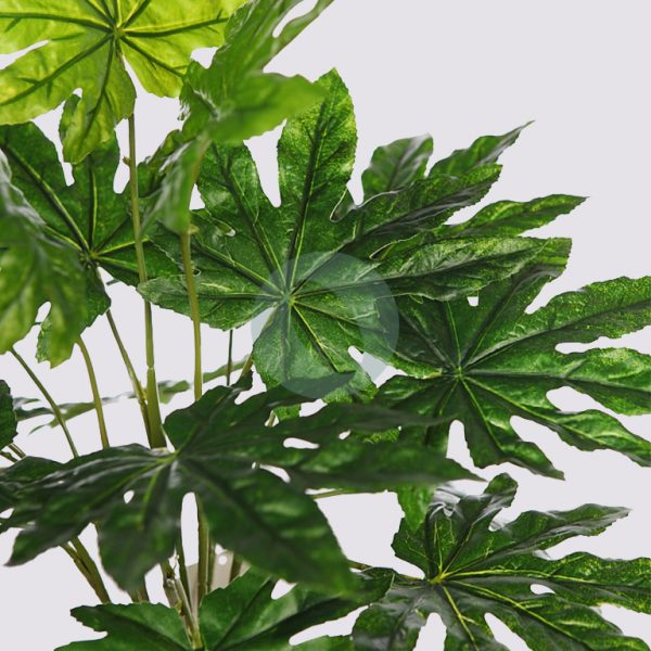 PLANTA ARALIA ARTIFICIAL - Imagen 2