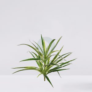 Planta Cinta Clorofito Artificial 38Cm